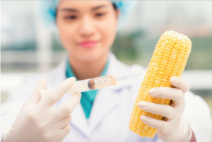 Foods That Cause Cancer, Corn being injected